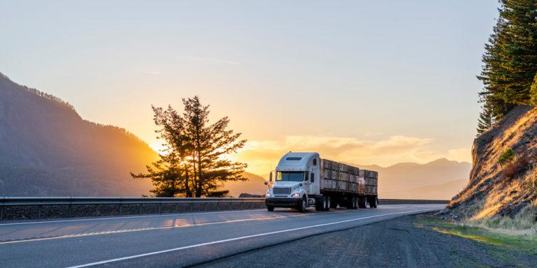 Truck Insurance: Know Your Needs Cover Image