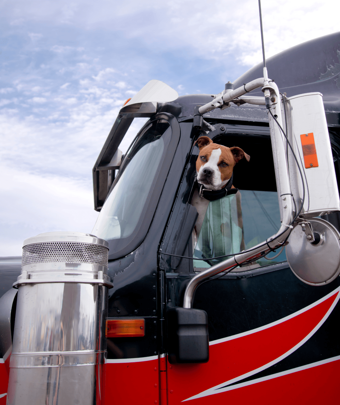Pros and Cons of Having a Pet Companion as a Truck Driver Cover Image